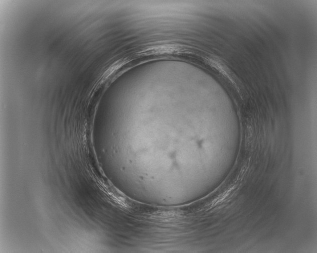 X0000058800778200510171346