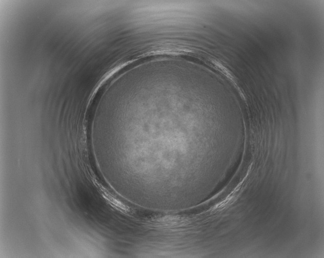 X0000058800779200510171346