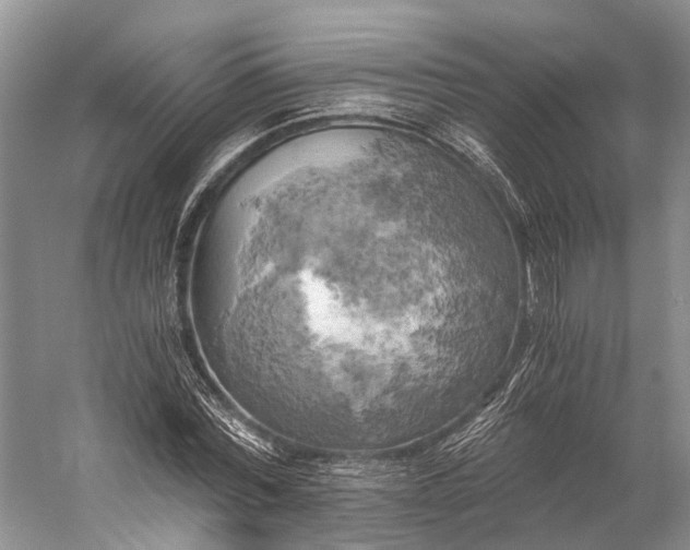 X0000058800780200510171346