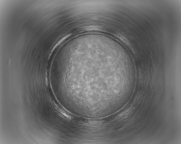 X0000058800782200510171346