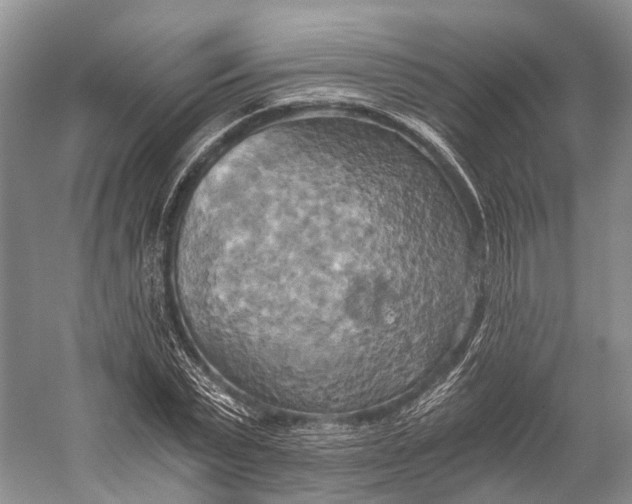 X0000058800783200510171346