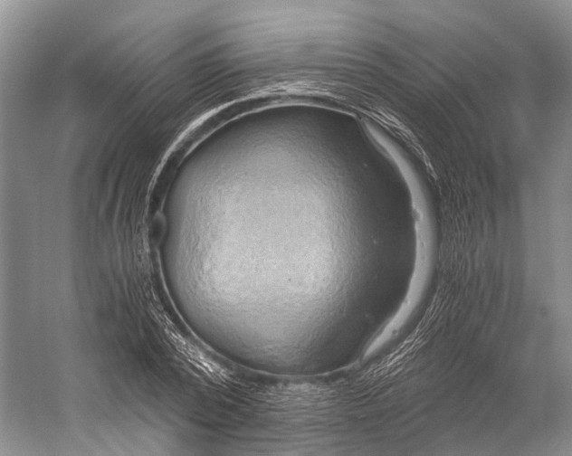 X0000058800784200510171346