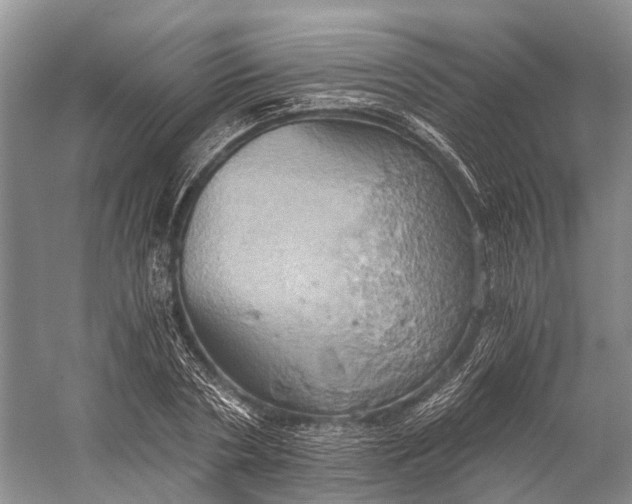 X0000058800786200510171346