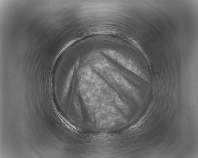 X0000058800787200510171346