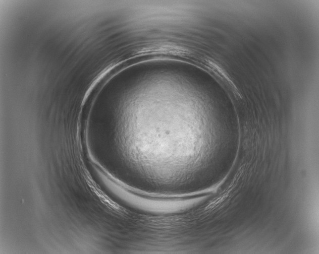 X0000058800788200510171345