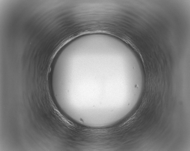 X0000058800789200510171345