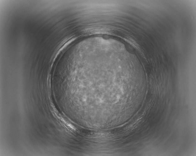 X0000058800790200510171345