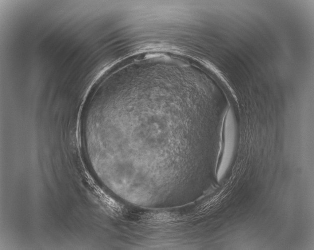 X0000058800791200510171345