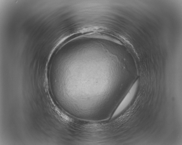 X0000058800792200510171345