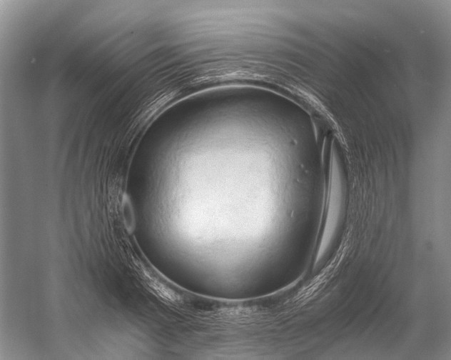 X0000058800793200510171345