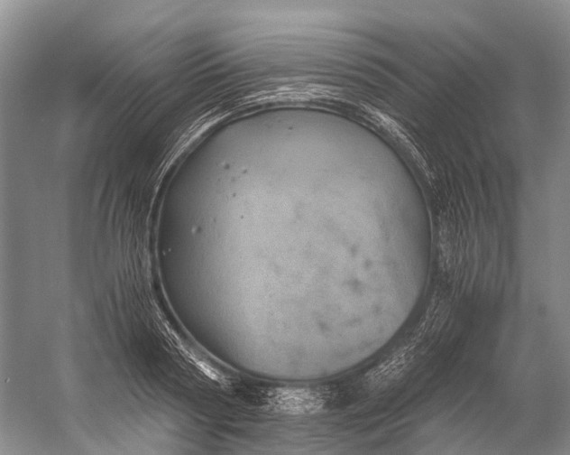 X0000058800794200510171345