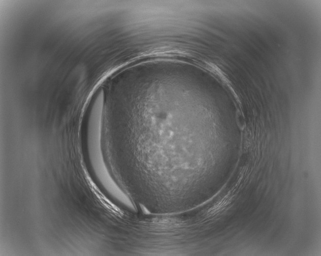 X0000058800795200510171345