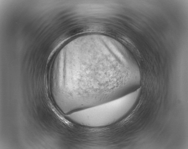 X0000058800796200510171345