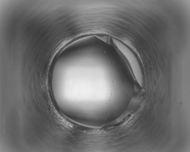 X0000058800797200510171345