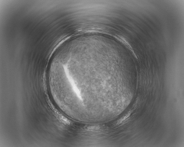 X0000058800798200510171345