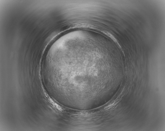 X0000058800799200510171345