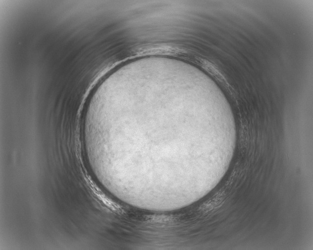 X0000058800800200510171345