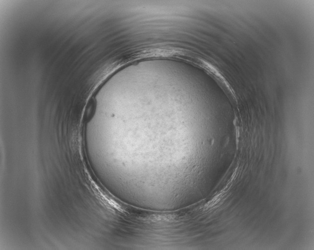 X0000058800802200510171345