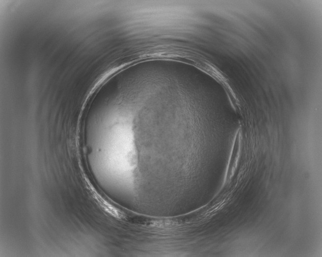 X0000058800803200510171345