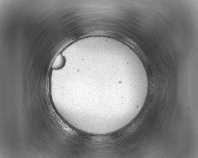 X0000058800804200510171345