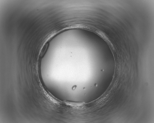 X0000058800805200510171345