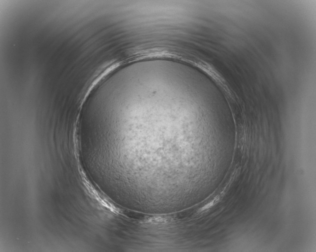 X0000058800806200510171345