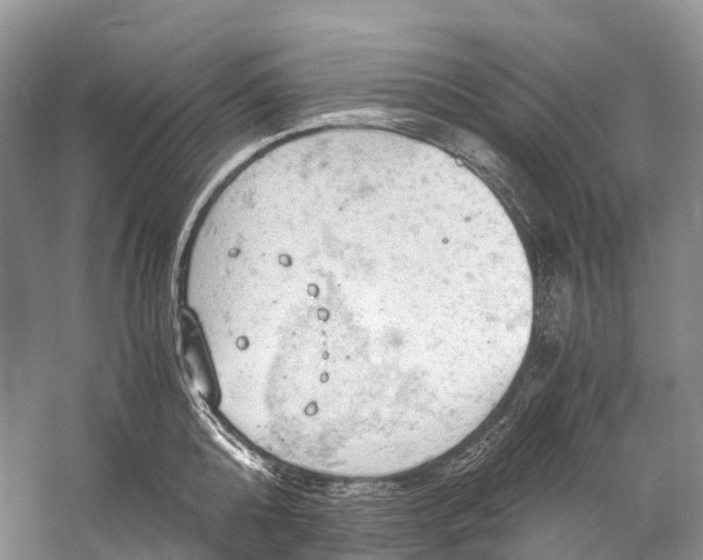 X0000058800808200510171345