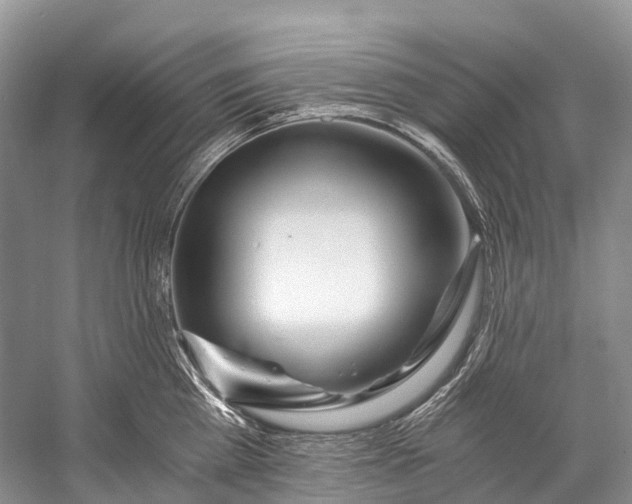 X0000058800809200510171345