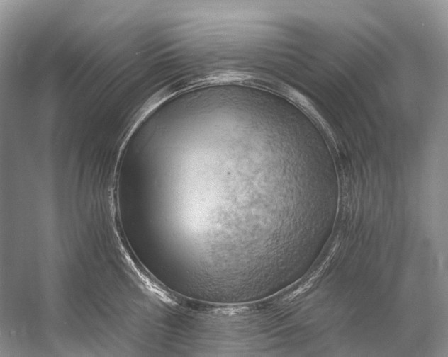 X0000058800810200510171345