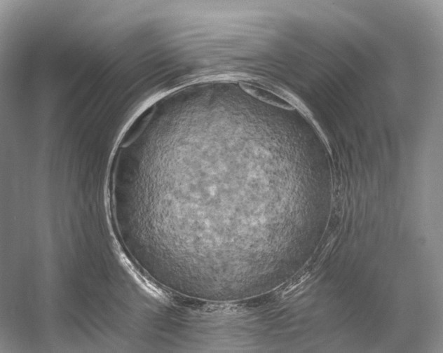 X0000058800811200510171345