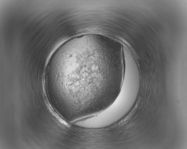 X0000058800812200510171345