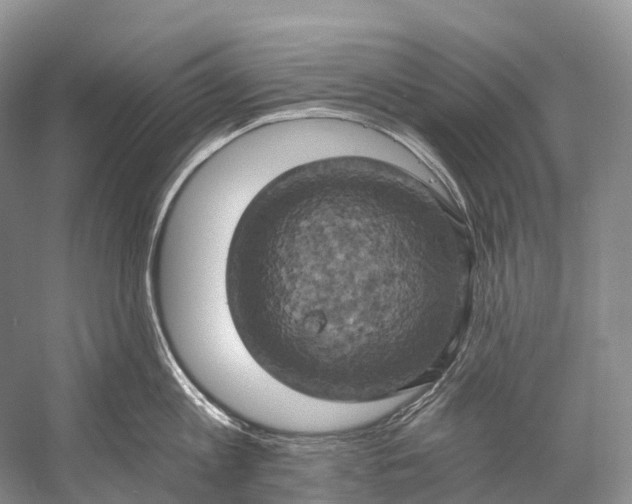 X0000058800813200510171345