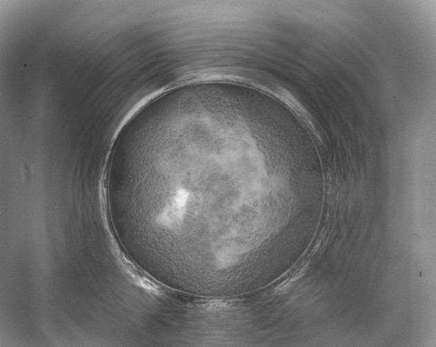 X0000058800814200510171345