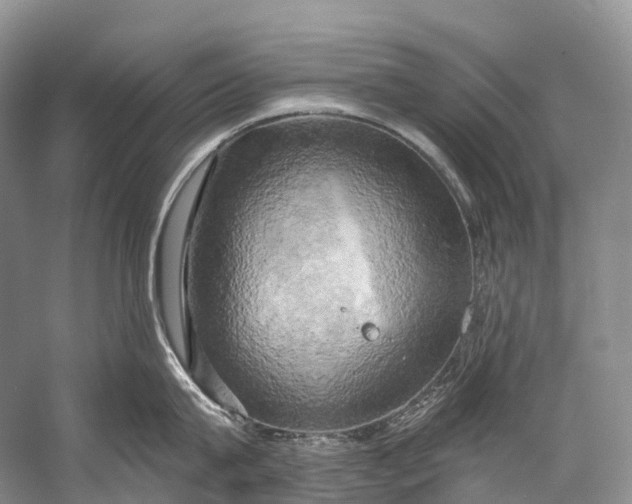 X0000058800815200510171345