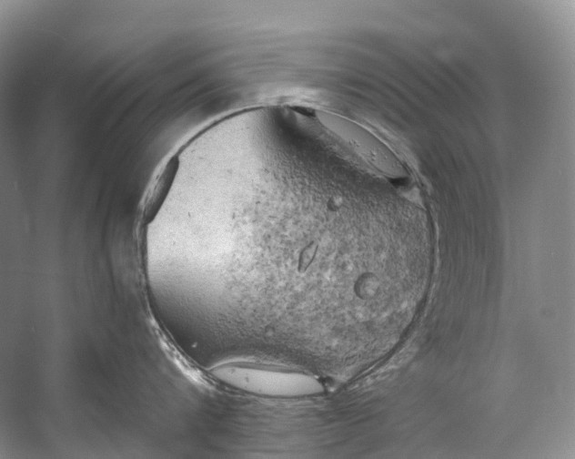 X0000058800816200510171345