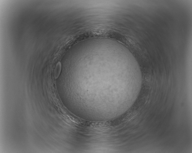 X0000058800817200510171344