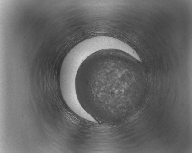 X0000058800818200510171344