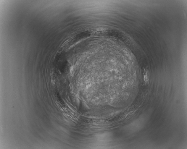 X0000058800819200510171344