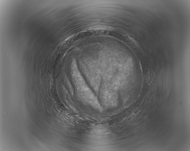 X0000058800821200510171344