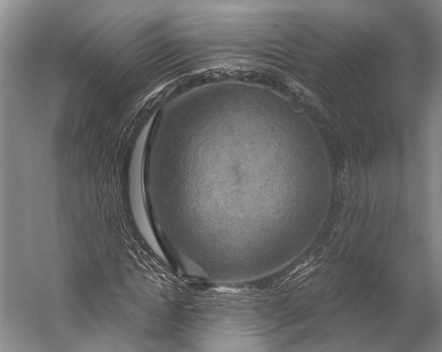 X0000058800822200510171344