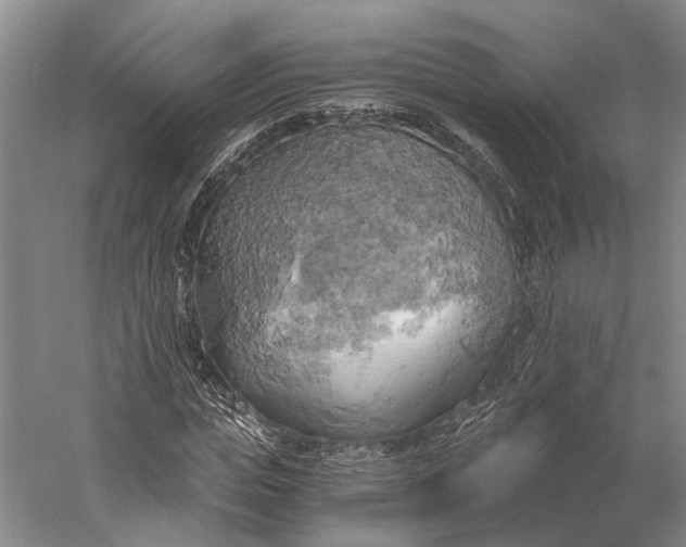 X0000058800823200510171344