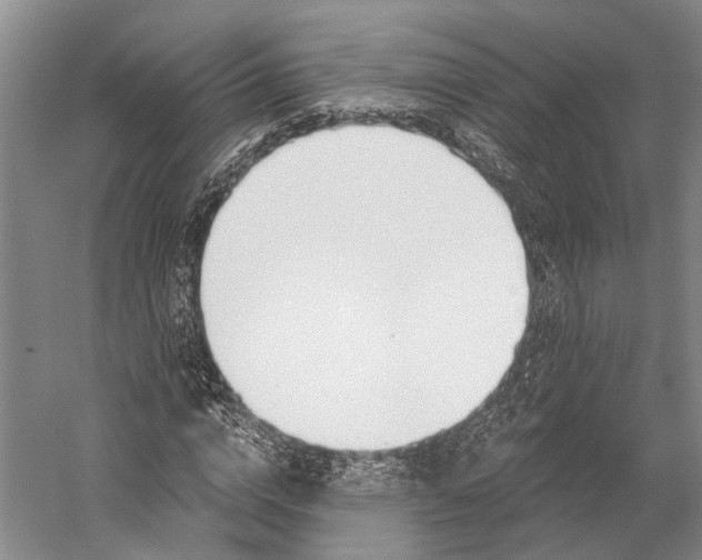 X0000058800824200510171344