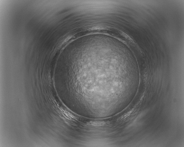 X0000058800825200510171344