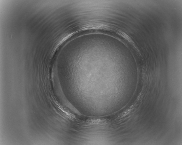 X0000058800826200510171344