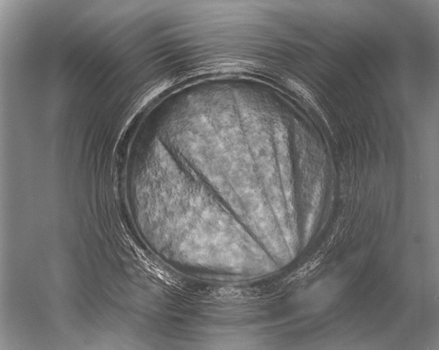 X0000058800827200510171344