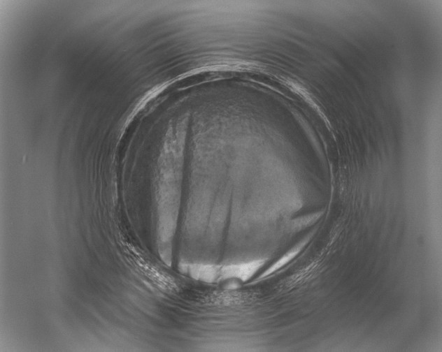 X0000058800829200510171344