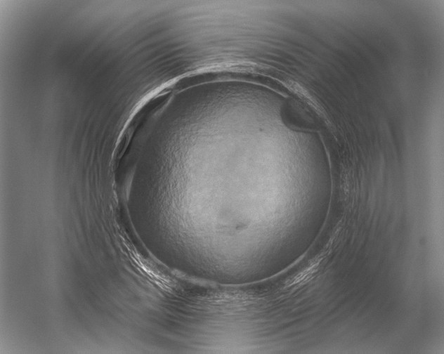 X0000058800830200510171344