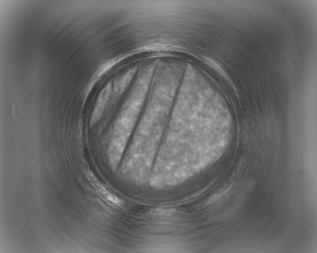 X0000058800831200510171344