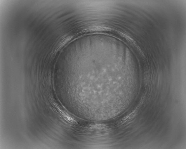 X0000058800833200510171344