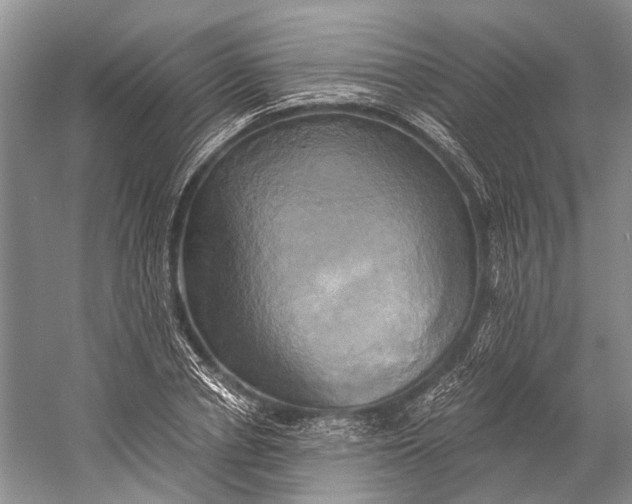 X0000058800834200510171344